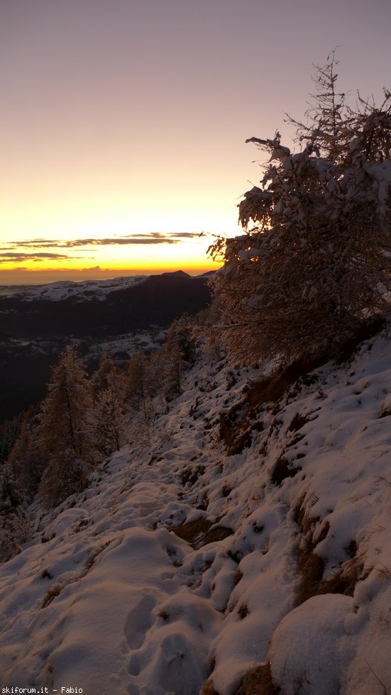 204262-prealpi-neve-08.jpg