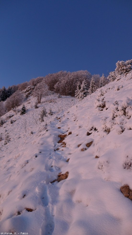 204264-prealpi-neve-10.jpg