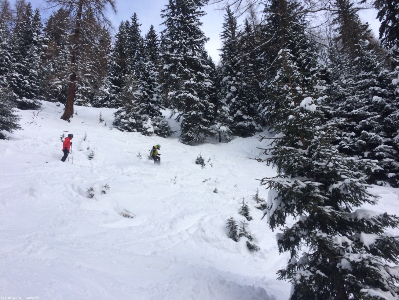 206193-5d236821-3249-477c-840b-6cd3d40f6fec.jpeg
