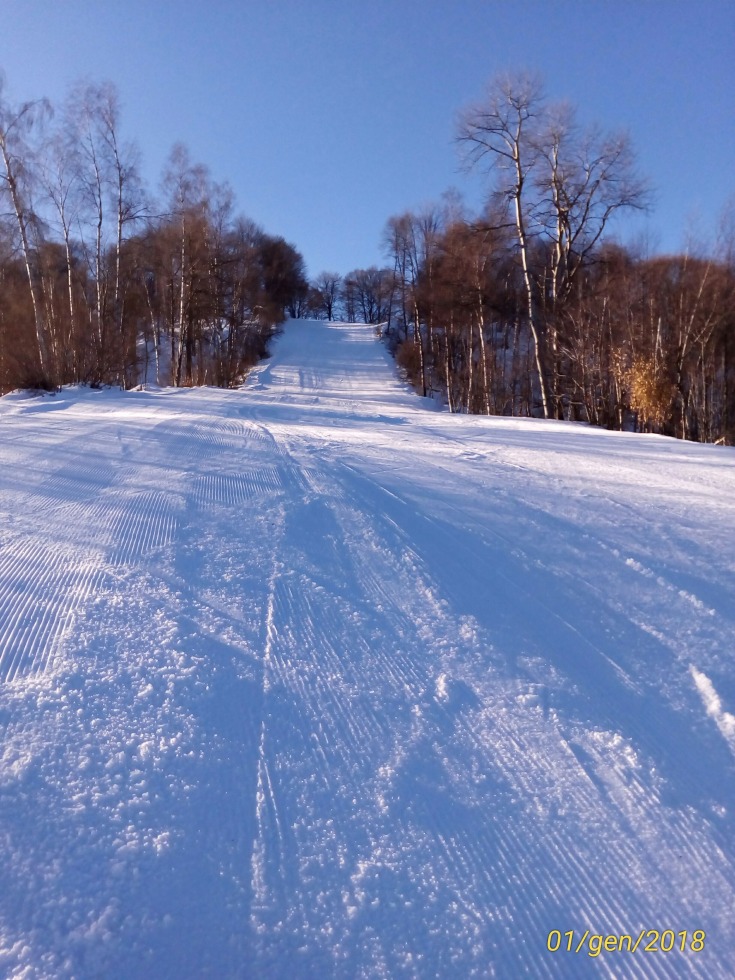 207362-p201801011007041p.jpg