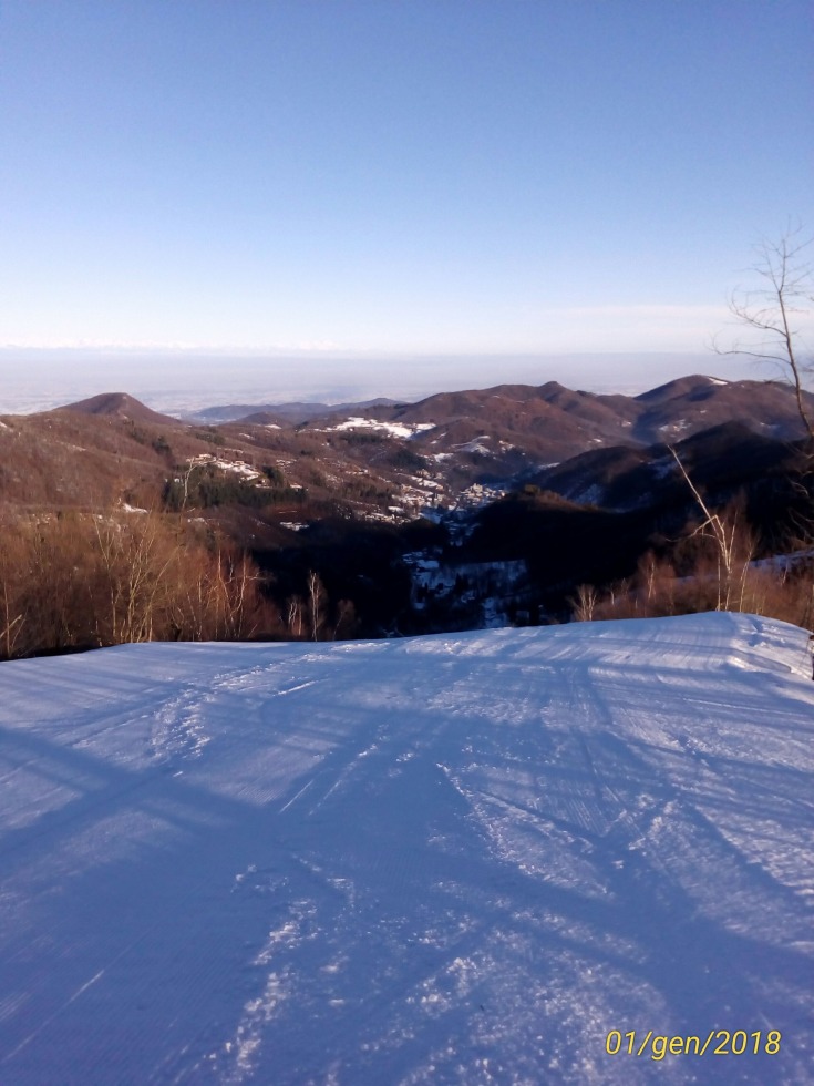 207363-p201801011007081p.jpg