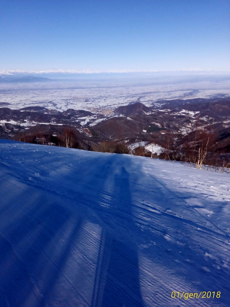 207365-p201801011145101p.jpg