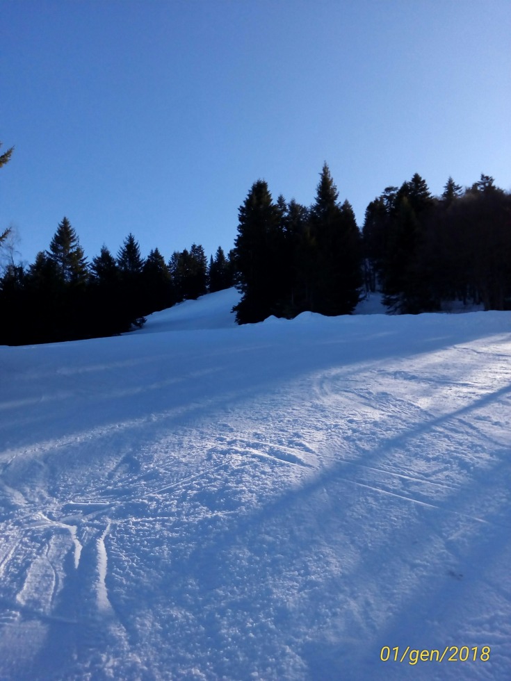 207366-p201801011147211p.jpg