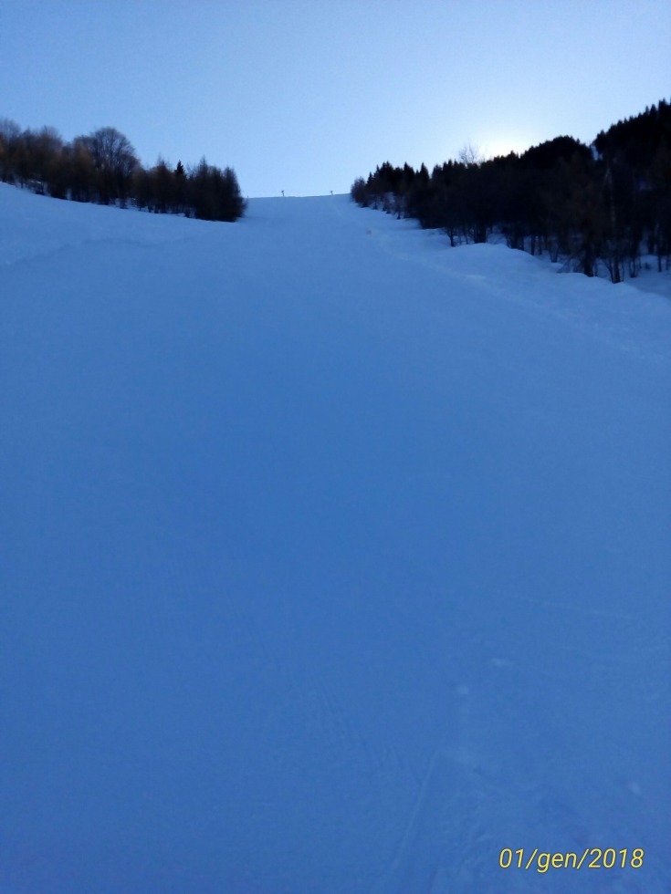 207368-p201801011225491p.jpg