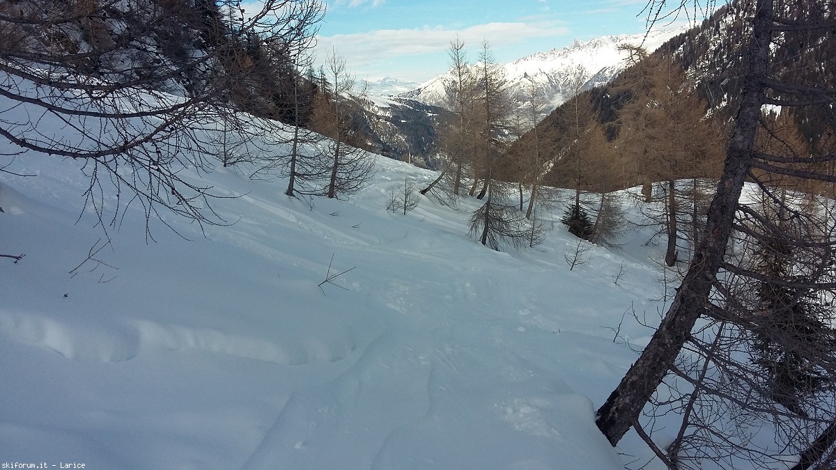 207432-valgerola-u.jpg