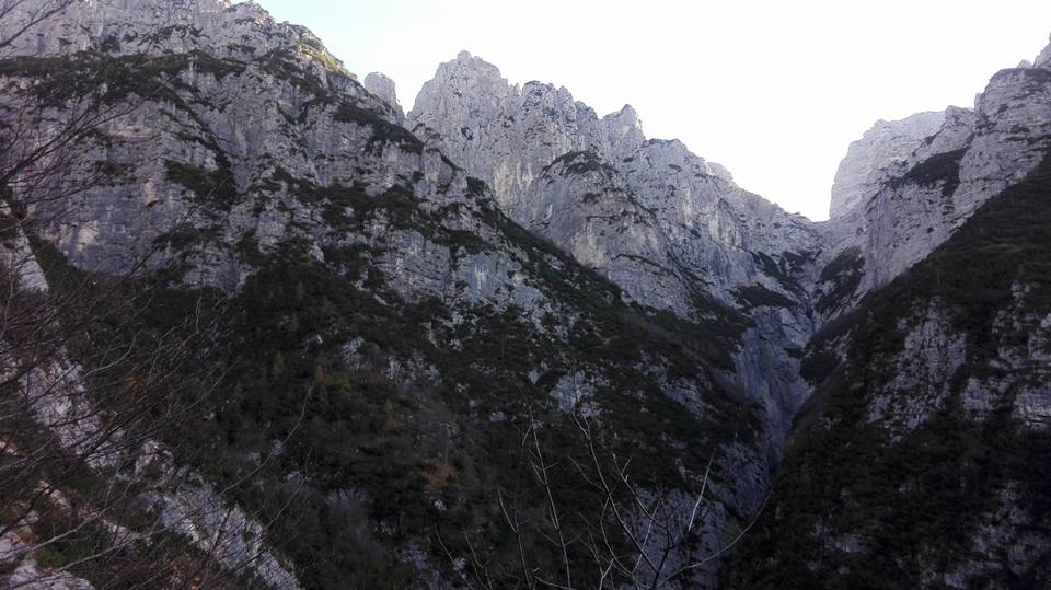 207495-feruch-1-227803599011263100644106000008841057457030n.jpg