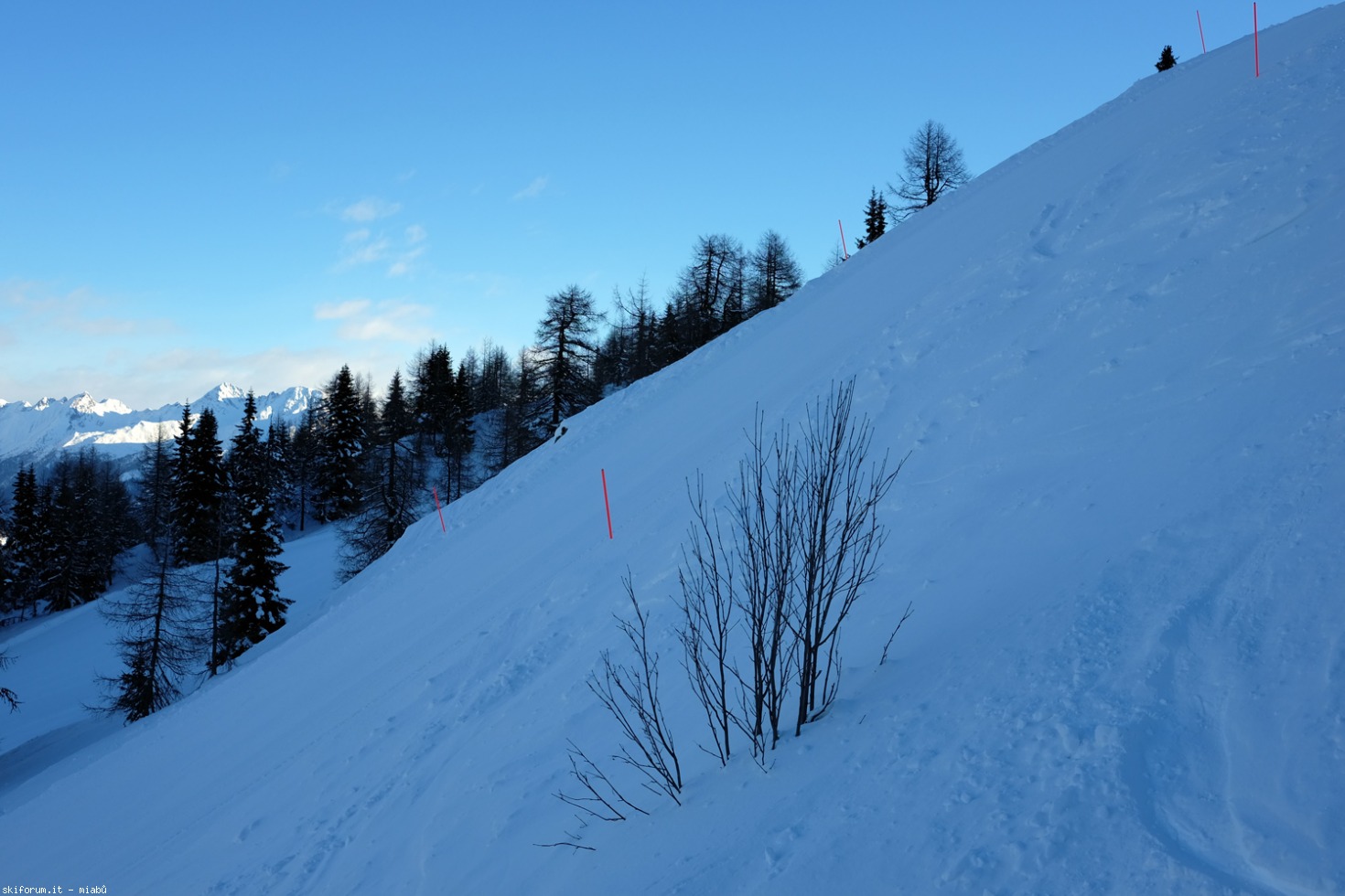 207631-dscf1636.jpg