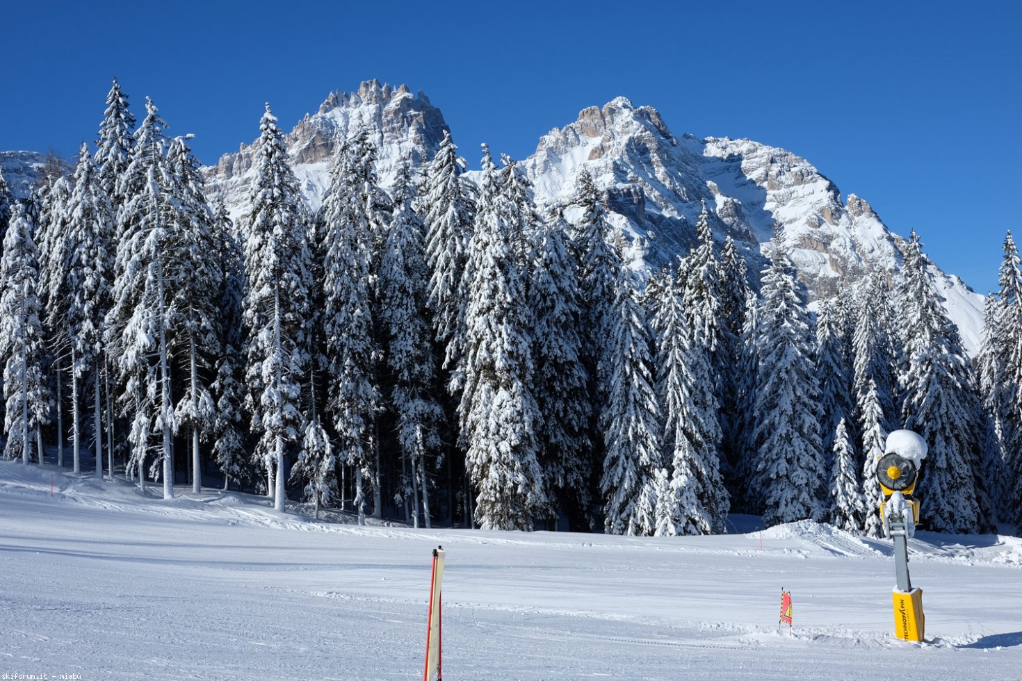 207644-dscf1746.jpg