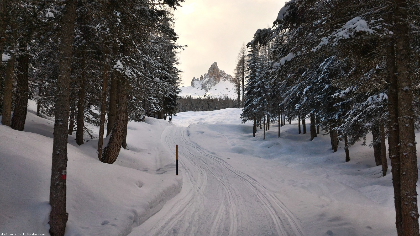 207888-malga-federa-p20180121101019hdr.jpg