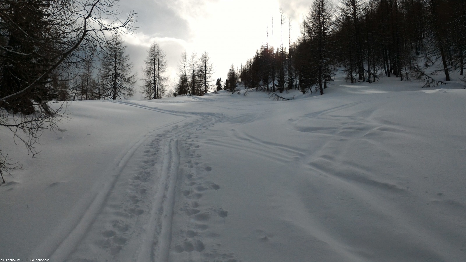 207890-malga-federa-p20180121112853.jpg