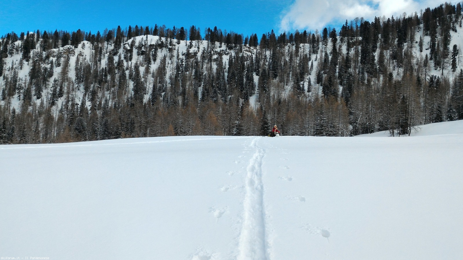 207891-malga-federa-p20180121110352hdr.jpg