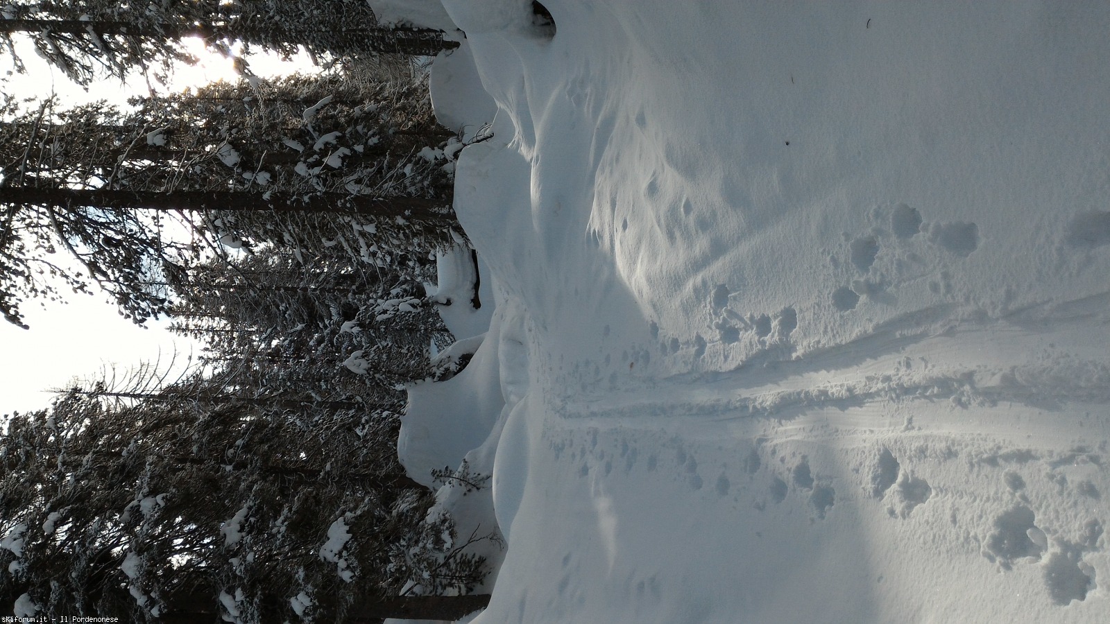 207895-malga-federa-p20180121104414.jpg