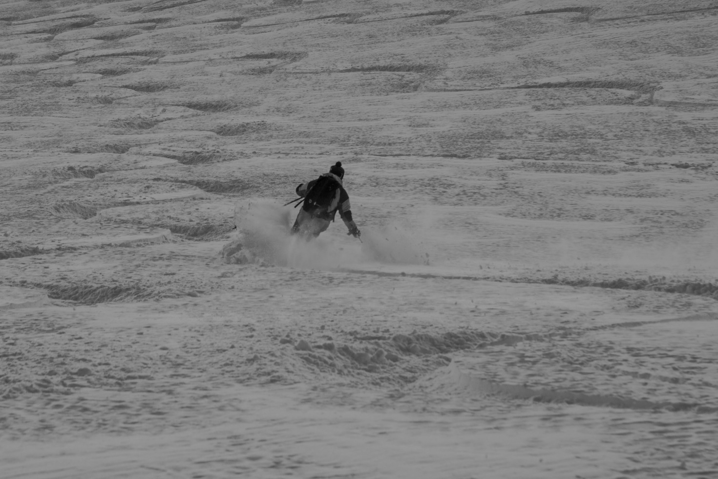 208742-img6384.jpg