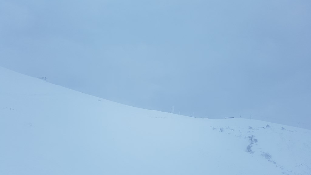 209064-20180203163311.jpg
