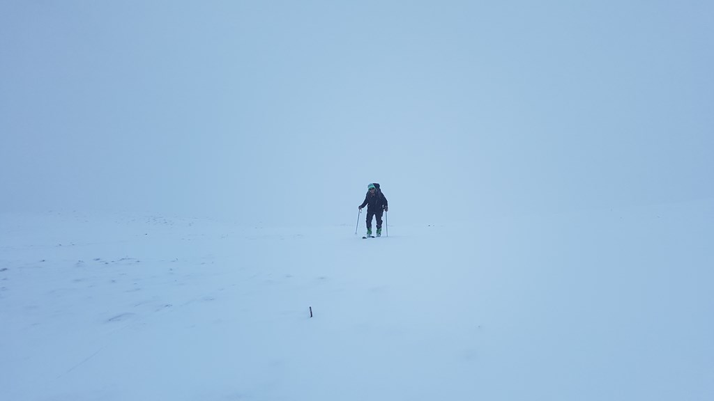 209065-20180203163314.jpg
