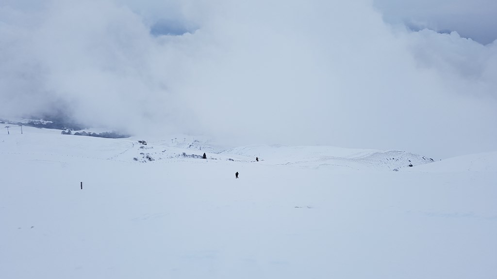 209068-20180203165424.jpg