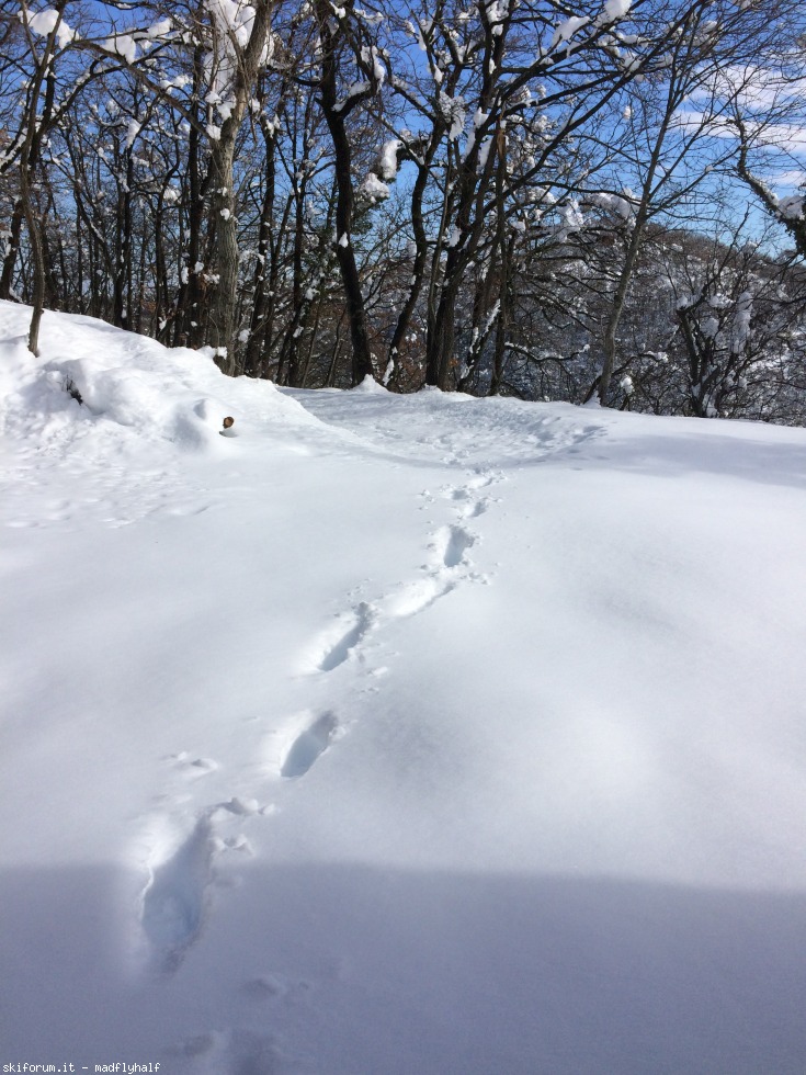209662-badolo-snow-img6043.jpg
