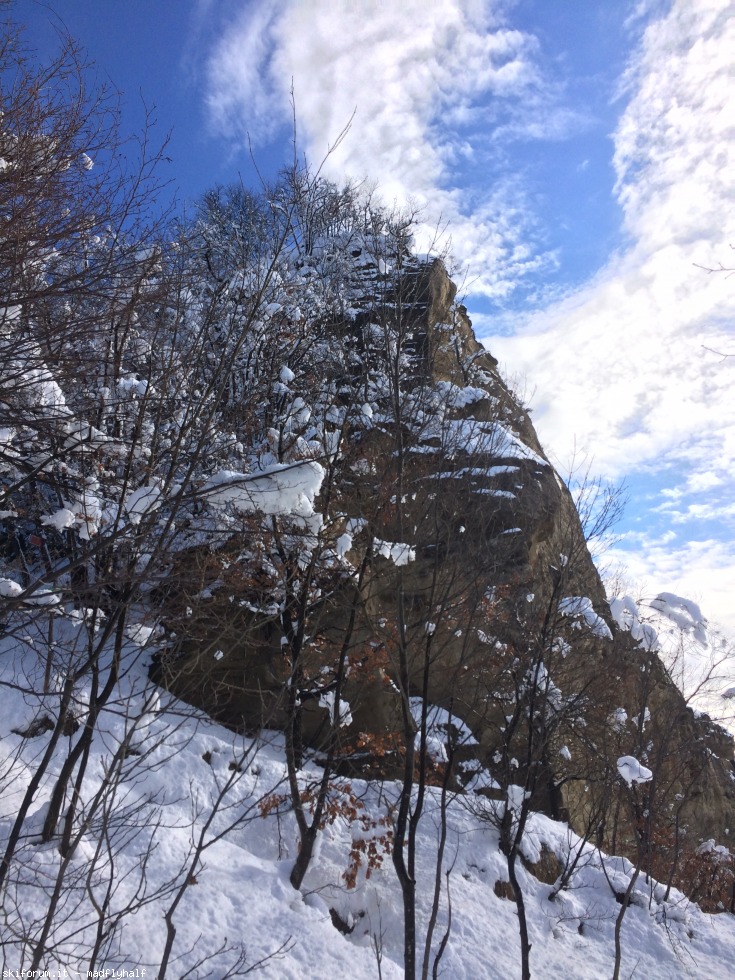 209664-badolo-snow-img6046.jpg