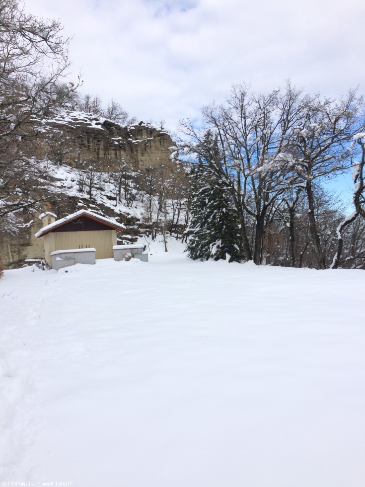 209668-badolo-snow-img6056.jpg