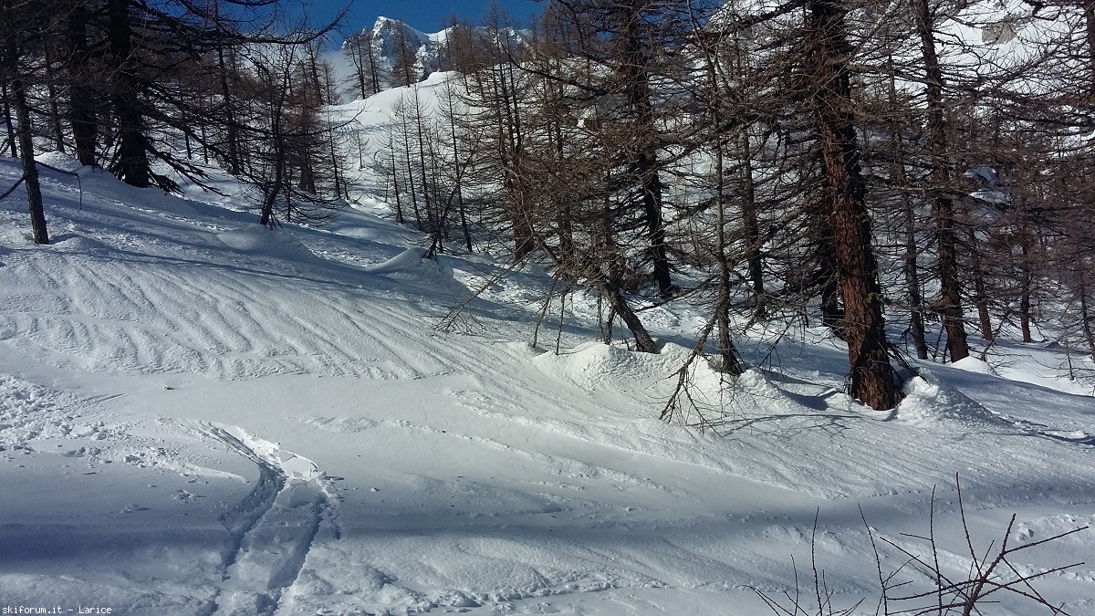 210952-devero-20180218111312.jpg