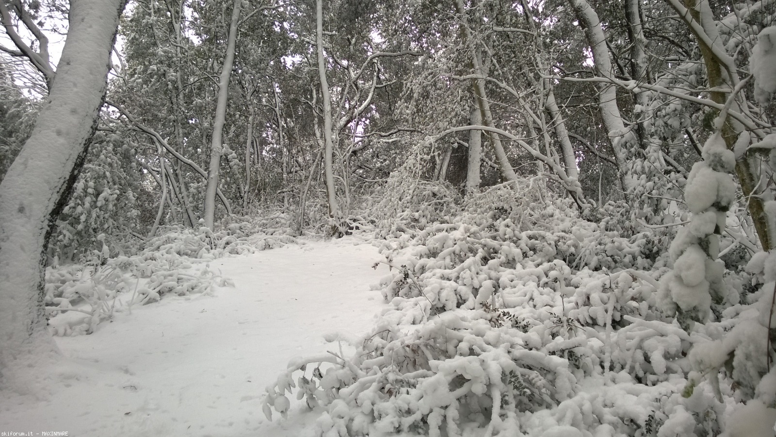 211083-neve-a-roma-26.2.2018-wp20180226092818pro.jpg