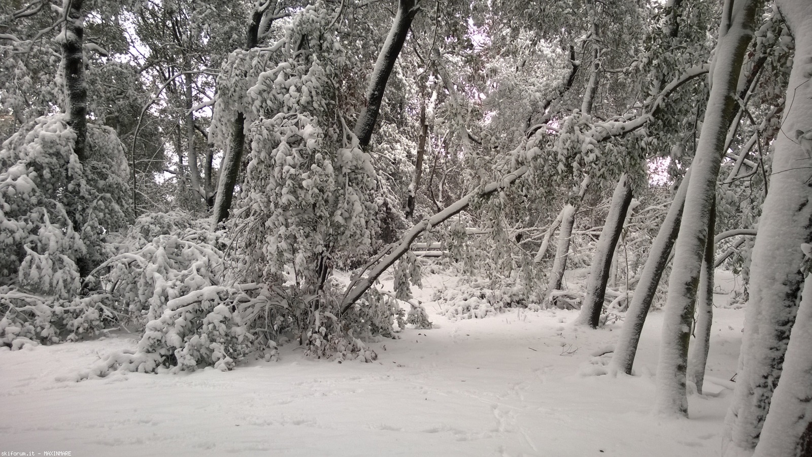 211084-neve-a-roma-26.2.2018-wp20180226092834pro.jpg