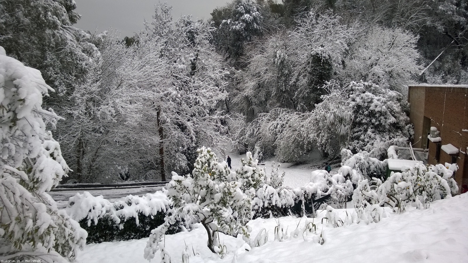 211087-neve-a-roma-26.2.2018-wp20180226100502pro.jpg