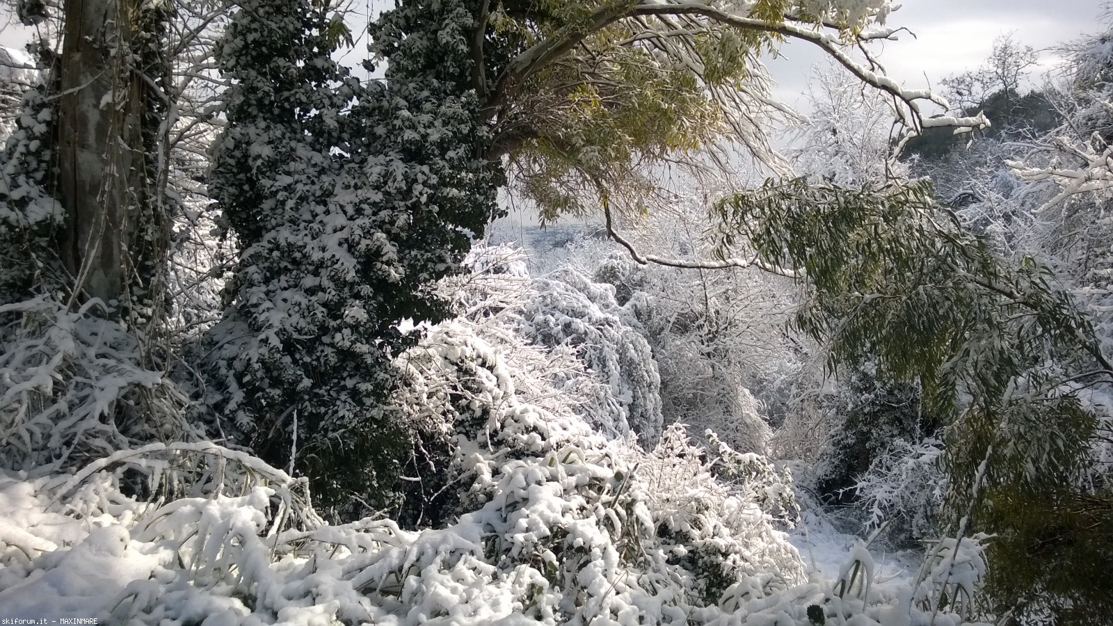 211091-neve-a-roma-26.2.2018-wp20180226105650pro.jpg