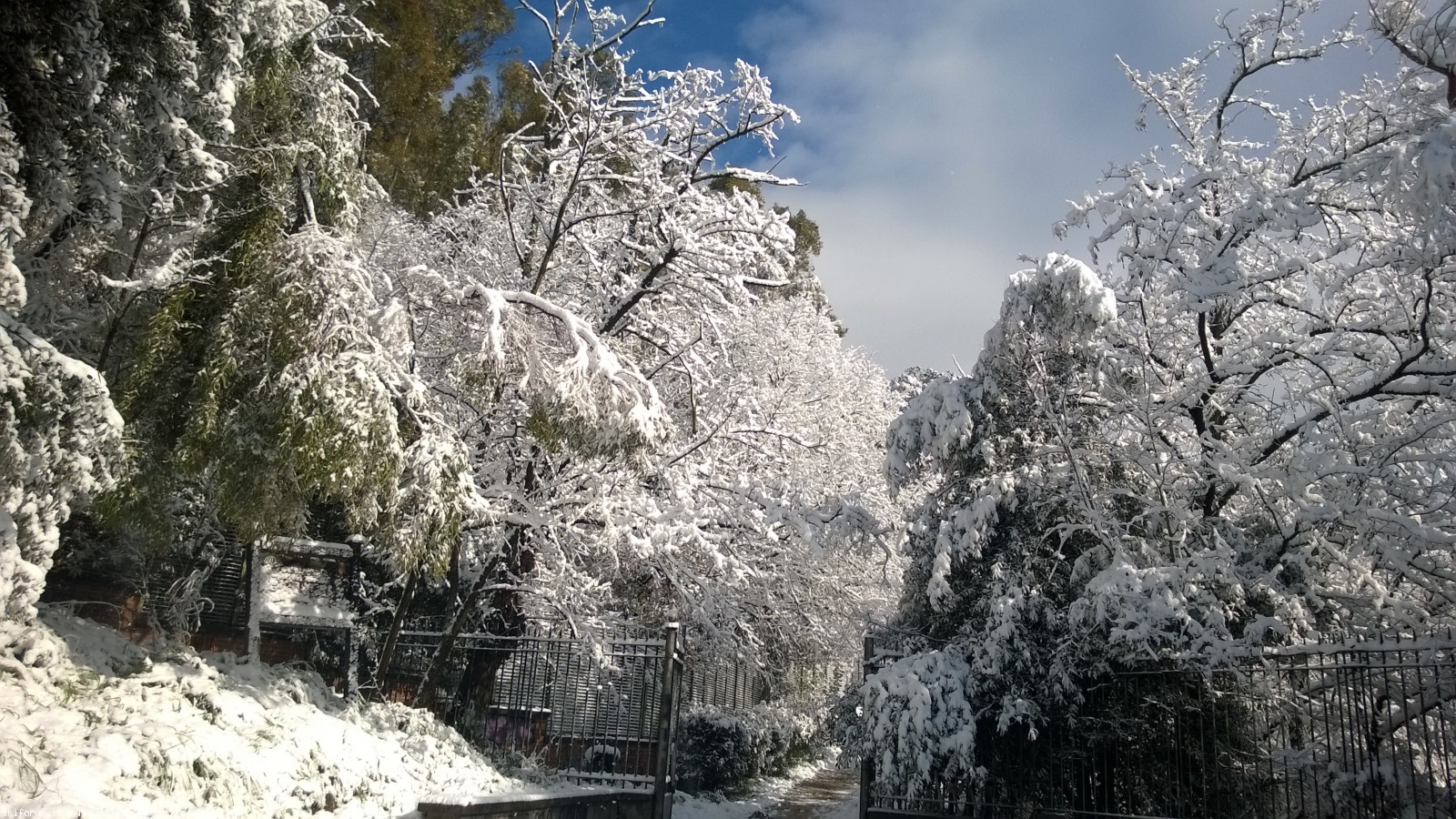211093-neve-a-roma-26.2.2018-wp20180226105816pro.jpg