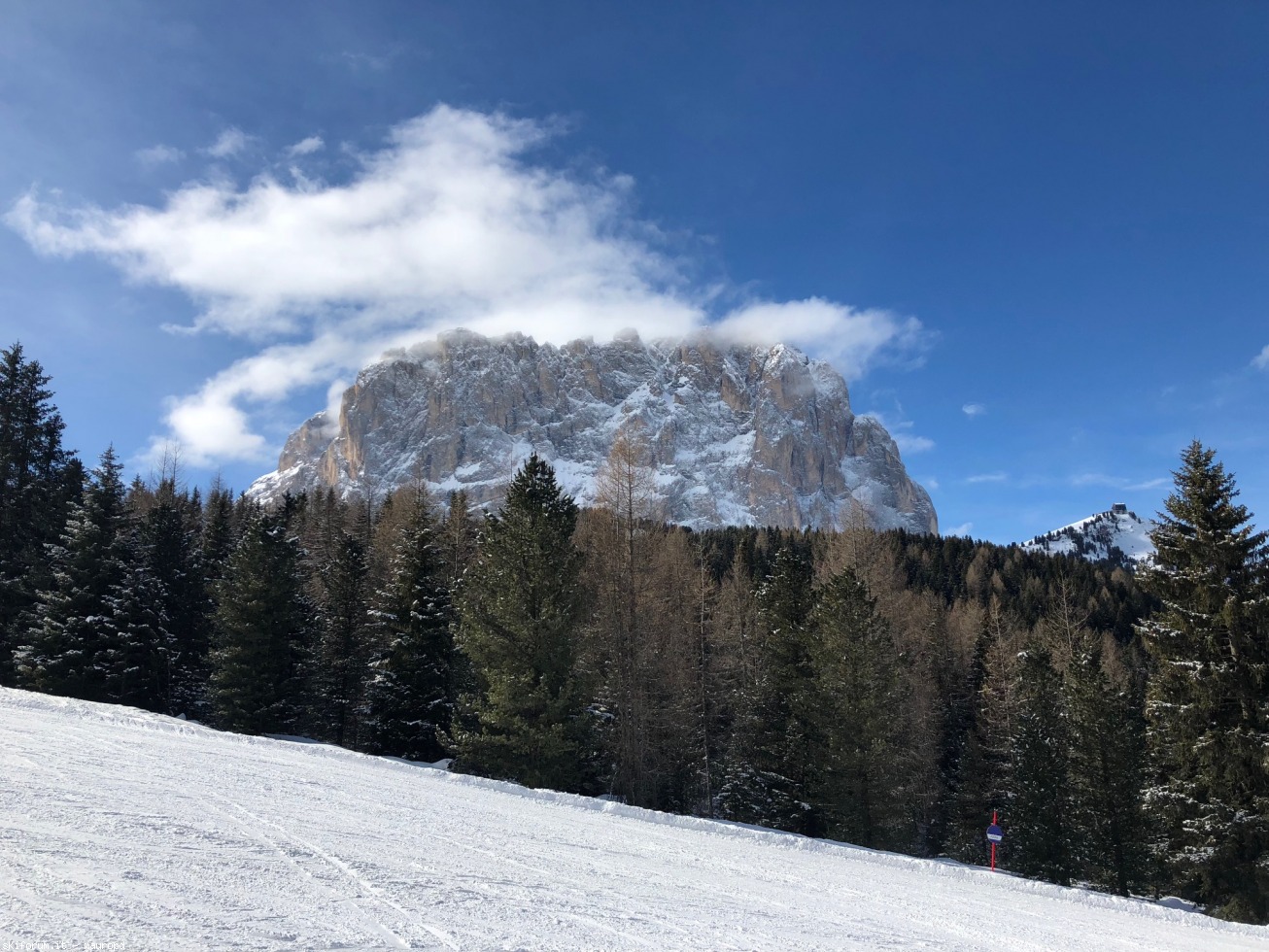 211135-img1478-il-sassolungo-dalla-pista-che-scende-al-passo-sella-evitando-la-seggiovia-sole.jpg