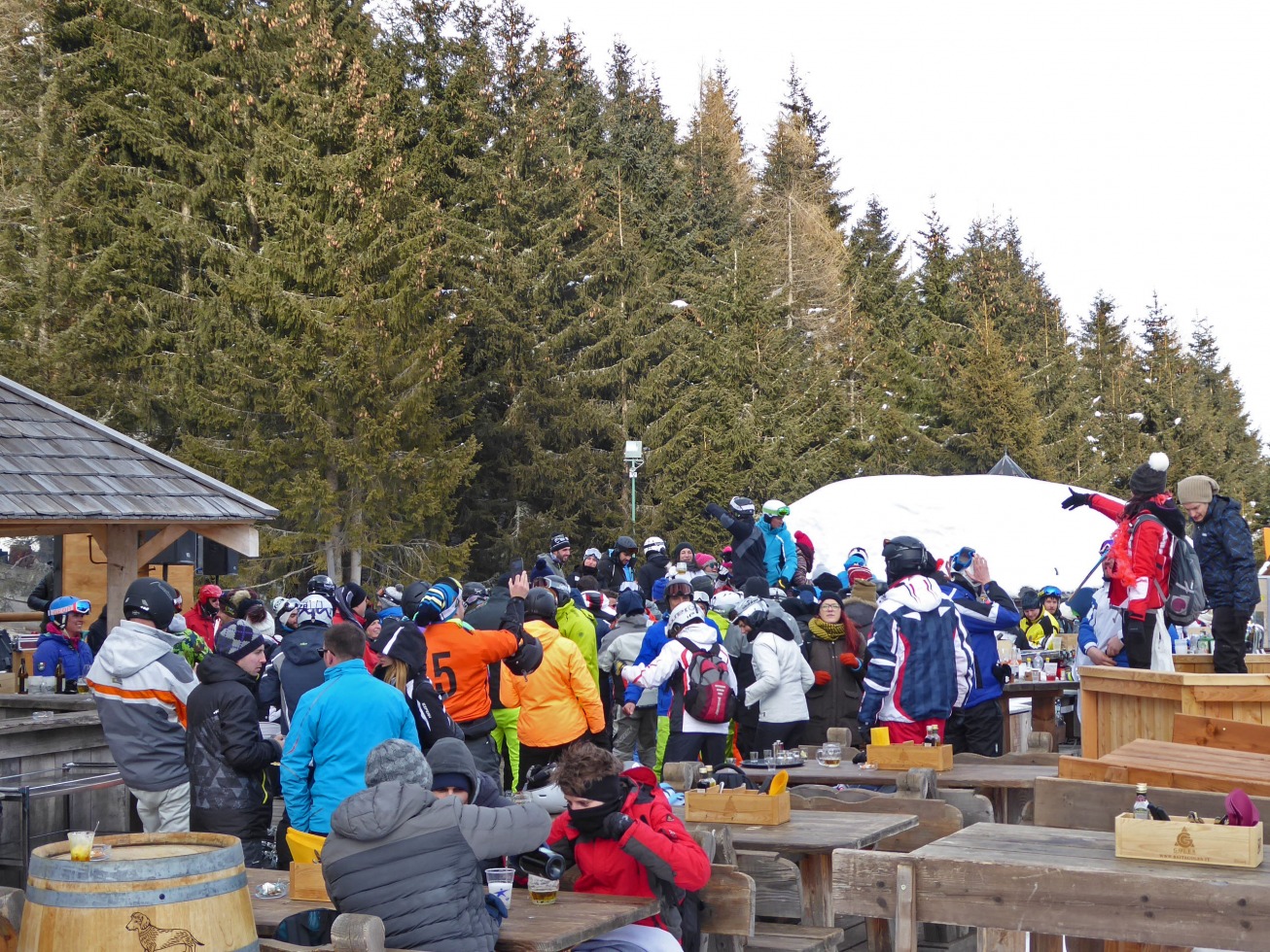 211177-p1040379.jpg