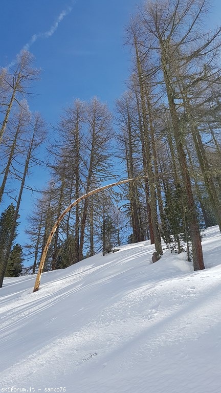 212922-20180321105343.jpg
