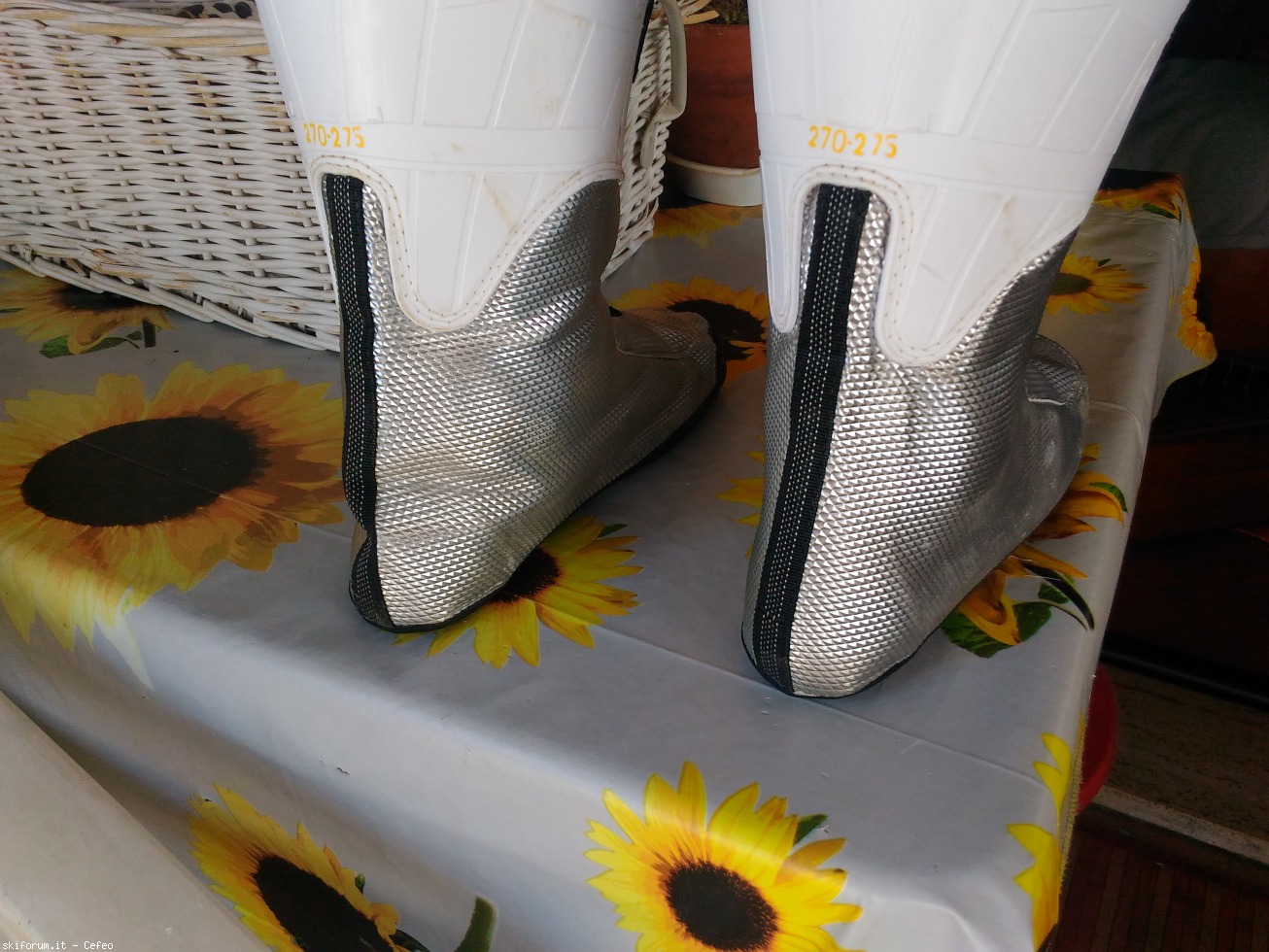 213088-image2.jpg