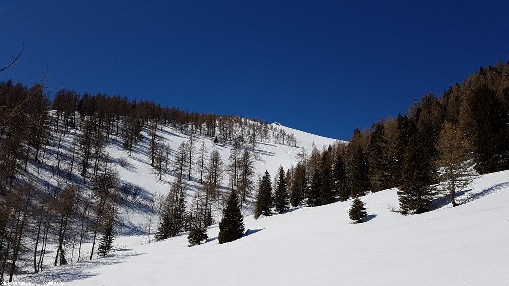 214024-20180402124235.jpg