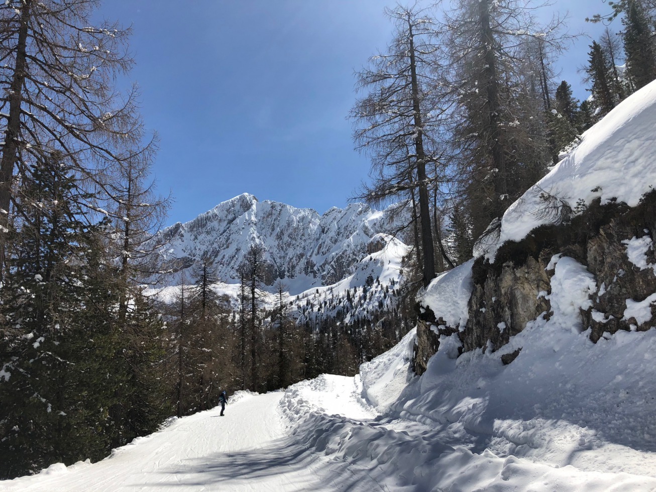 215416-faloria-apr-2018-img2690-raccordo-bigontina-vitelli-bassa.jpg