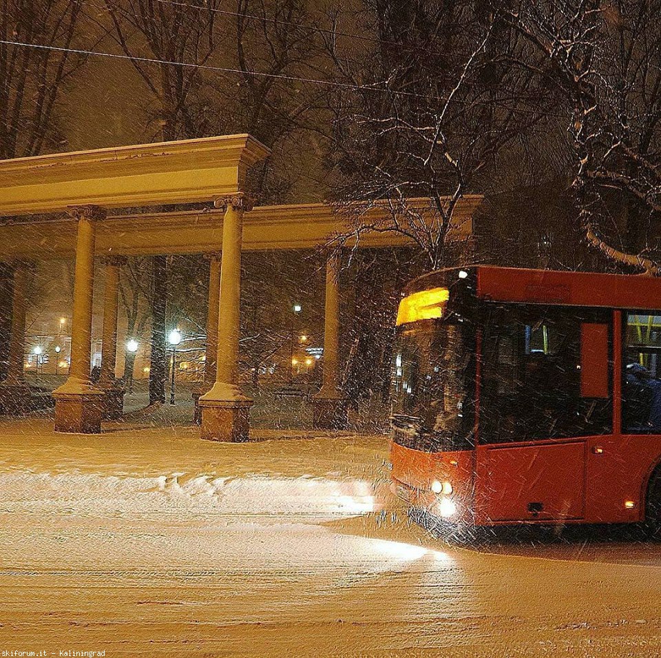 216971-autobus-neve.jpg