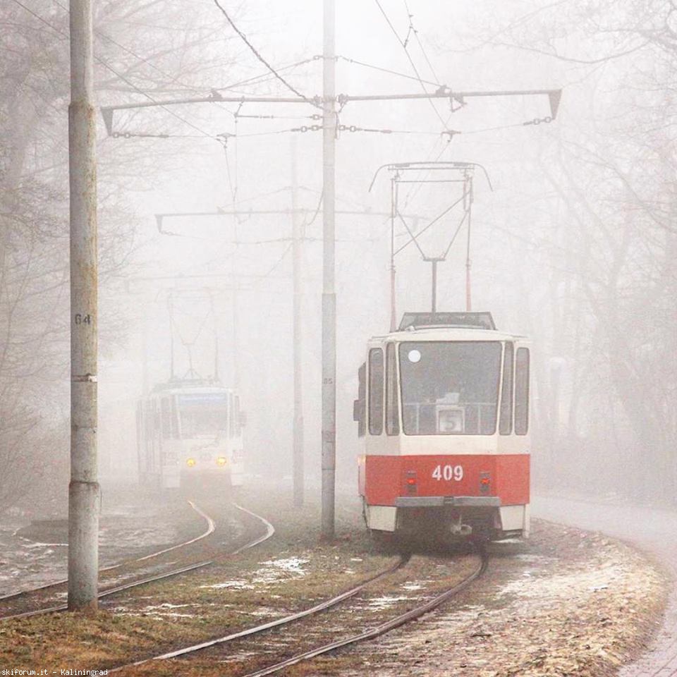 216976-straenbahn-1.jpg