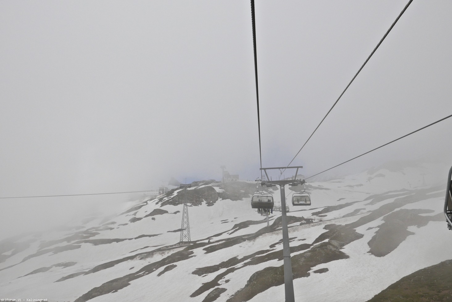 217475-l1010413.jpg