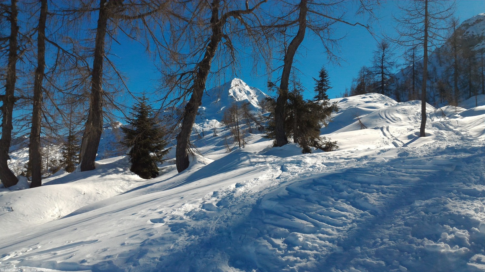 235764-resettum-p20190217111820.jpg