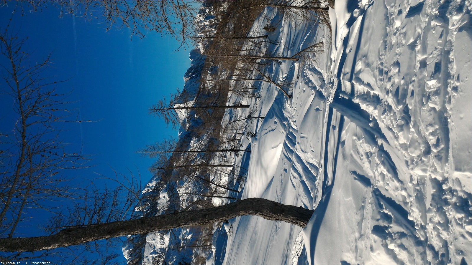 235778-resettum-p20190217111837.jpg