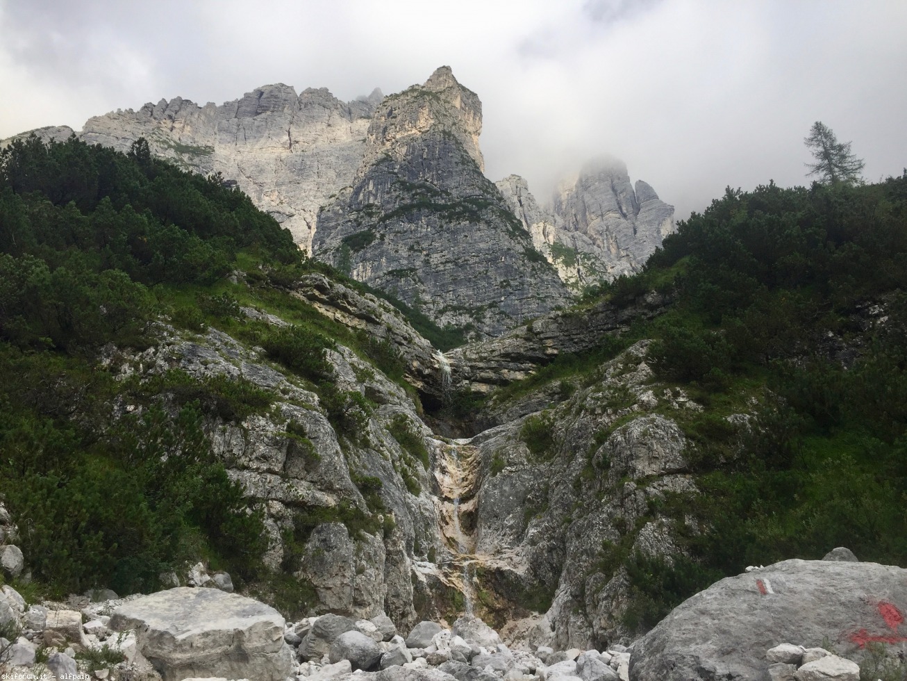 249784-vant-delle-nevere-2019-08-18-vant-delle-nevere-166.jpg