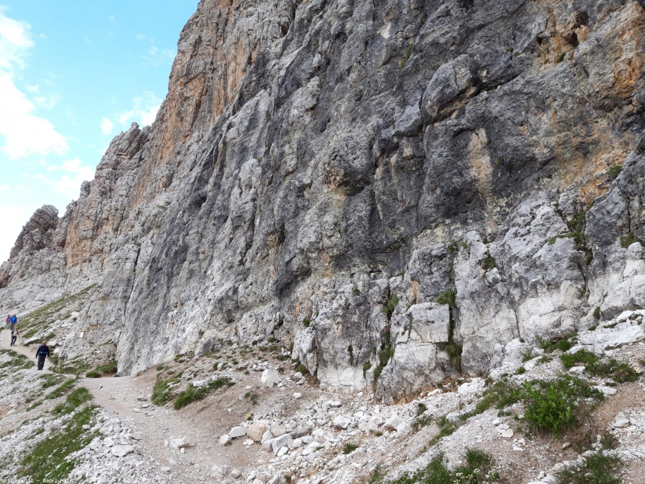 274511-via-della-vipera-99e5ae48-aa7e-4fb4-b6b7-c6f8a60b636e.jpeg
