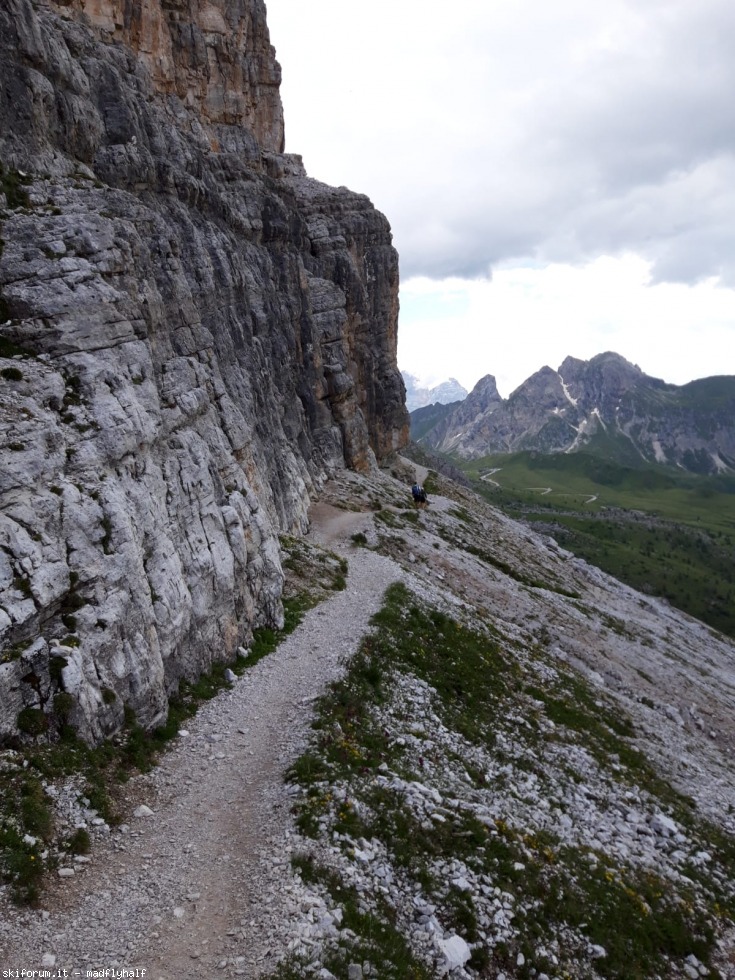 274512-via-della-vipera-7ef55a03-a29a-4ee2-8131-8de8d8fa4211.jpeg
