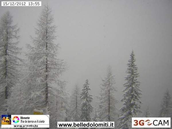 86577-nevicate-15-dicembre-2012-pistetofana.jpg