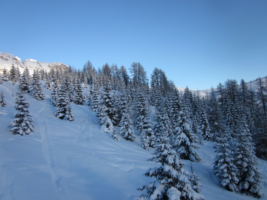 86815-primo-sole-sulle-piste-del-burz-di-arabba-img1697.jpg