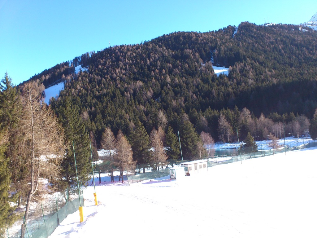 88029-sciare-tra-temu-e-ponte-di-legno-dsc0866.jpg