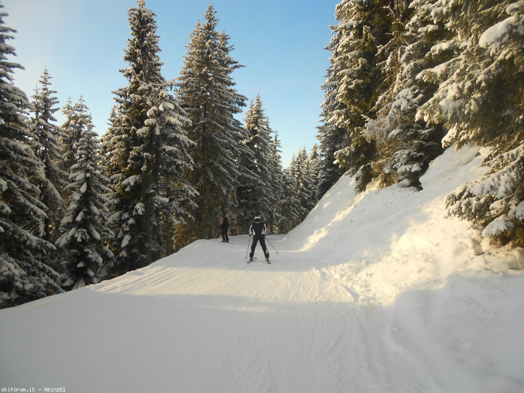 88120-041-stradino-110-alpenrosenabfahrt.jpg