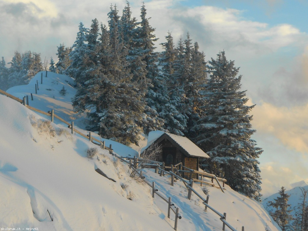 88121-042-westendorf.jpg