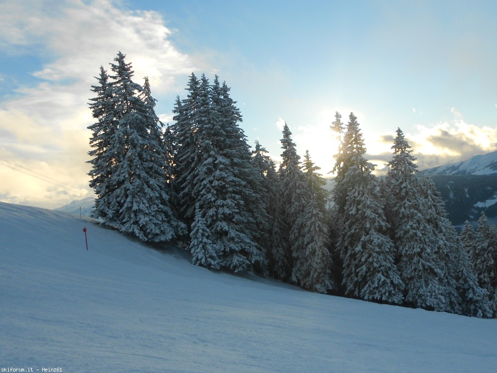 88123-044-alberi-innevati.jpg