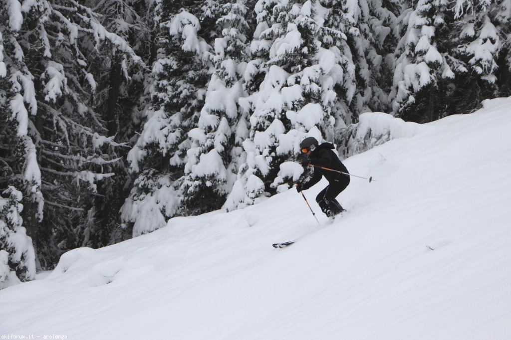 88509-cold-smoke-img1350.jpg
